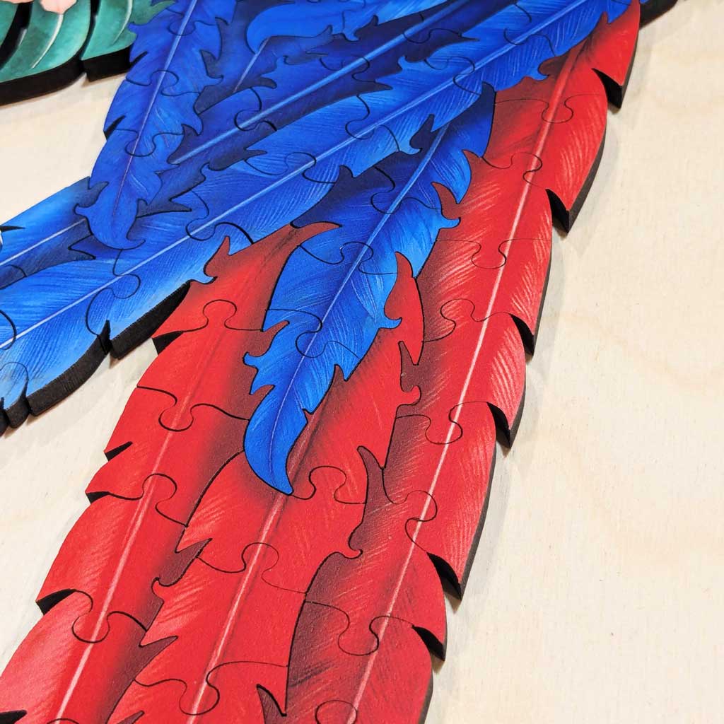 Red and blue tail feather pieces joined together in macaw wooden puzzle