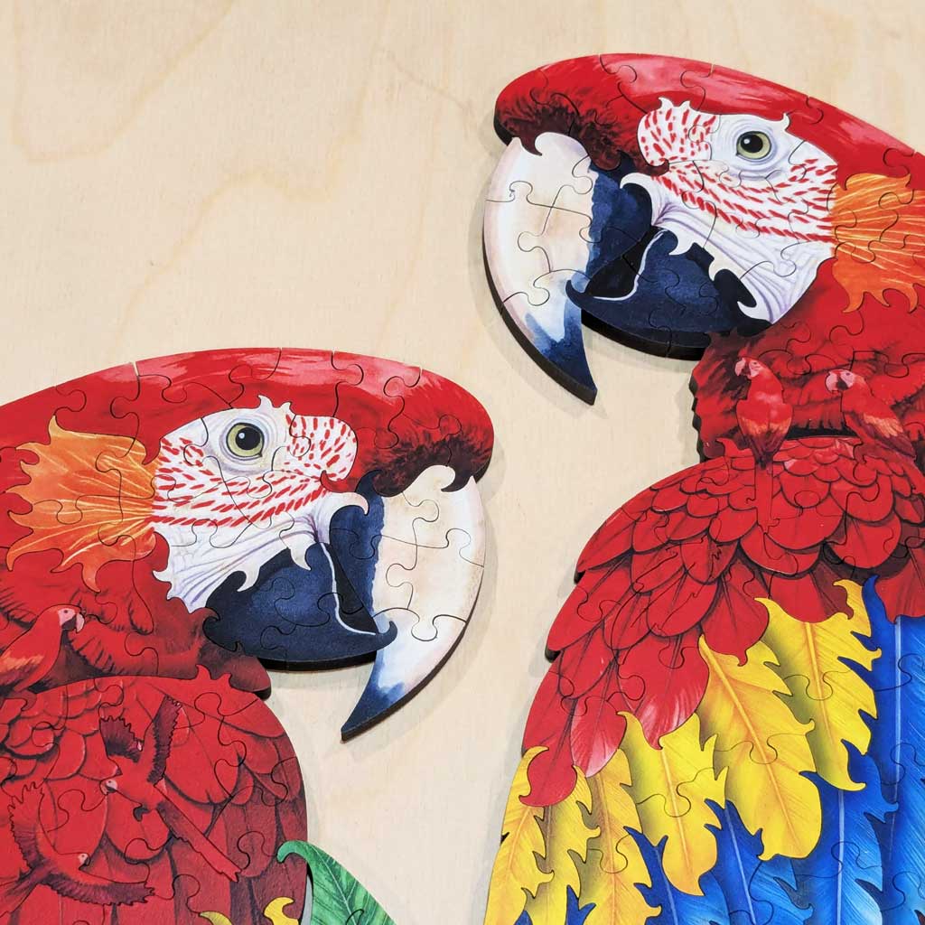 Close-up of two scarlet macaw heads in wooden jigsaw puzzle